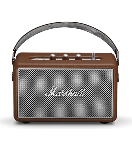 Bose SoundLink Mini Bluetooth Speaker : Amazon.in: Electronics
