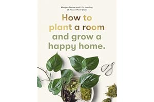 How to plant a room: and grow a happy home