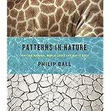 Patterns in Nature: Why the Natural World Looks the Way it Does