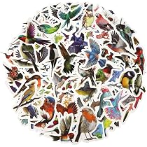 thumbnail image 2 of Various Bird Stickers For Kids 50Pcs Waterproof Cute Bird Stickers For Crafts,Cartoon Aves Sticker For Party Decor, Unique Pet Birds Sticker For Scrapbooking Laptop Water Bottles Classroom Prizes 2 of 11