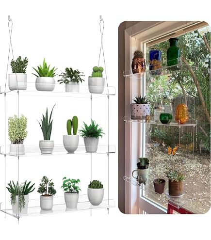 2 Stück Bilderrahmen-Pflanzenhalter Aus Metall – Schwarz, Für Wandmontage, Indoor-Deko Für Blumen & Deko