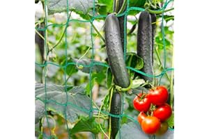 MIUEZUTH Premium Ranknetz 5 x 2m mit 30 Pflanzenclips, Rankhilfen für den perfekten Wachstum von Tomaten, Gurken und Kletterpflanzen Das Optimale Rankhilfe Netz für Garten und Gewächshaus, Maschnweite (10cm)