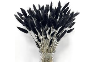 Songjum 120 PCS Dried Bunny Tails Flowers Lagurus Bunny Tails Pampas Grass Decor Black Dried Pampas Grass Decor for Flower Arrangements Boho Wedding Bouquets Home Decor Garden Decor