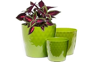 Home Garden Ornaments Maceta Verde Juego de 3 Tamaños 14/16/18 cm - Macetas Plastico con Superficie de Cristal Brillante - Maceteros Exterior - Decorativa Macetero Interior (Verde)
