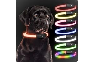 PAJ GPS PAJ Light - Collier Lumineux Puissant pour Chiens de Toutes Tailles - Longueur Personnalisable 20-70cm - 100% étanche - 7 Couleurs différents - visibilité & sécurité la Nuit, Noir