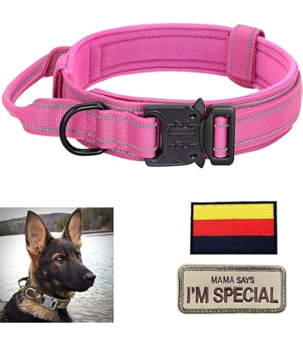 Collare Tattico Per Cane Taglia Media - In Nylon, Con Fibbia Metallo, Regolabile, Turchese, Misura M - Foto 7