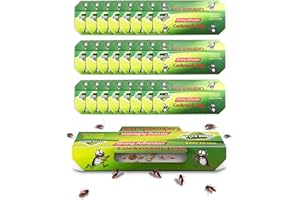 LAOYE 25 Trappole per Scarafaggi e Blatte Non Tossiche e Insapori, per Catturare ed Eliminare Gli Insetti in Casa: Ideali per Cucina, Bagno, Camera da Letto, Ufficio e per Proteggere la Tua Famiglia