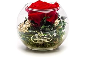 Rosen-Te-Amo, Dia de la madre regalos originales || rosa eterna natural preservada roja perfumada en caja regalo | maceta de vidrio|| Decoracion flores naturales domicilio hecho a mano follaje natural
