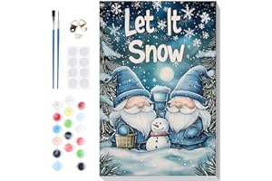 Lxmsja Dipingere con i Numeri Adulti Con Cornice, Natale Paint by Numbers Kit Principianti Con 3 Penne, Hobby Creativi Adulti Idee Regalo Donna Decorazioni Casa - 20x30cm