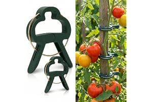 AebeChun Växtklämmor, 50 x L & M set växtklämmor för klätterväxter, tomatklämmor, växtväxtväxtväxtväxtväxthjälpsklämmor, toma