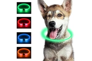 SONNIG LED Collier Lumineux Chien, Collier Chien Lumineux Rechargeable et Réglable avec 3 Modes D'éclairage, sans Danger pour Les Chiens de Petite, Moyenne et Grande Taille la Nuit, Vert