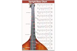 QMG Aufrechte Bassgrifftabelle mit farbcodierten Noten, Kontrabass-Diagramm für alle Ebenen, laminiert, Größe 27,9 x 43,2 cm