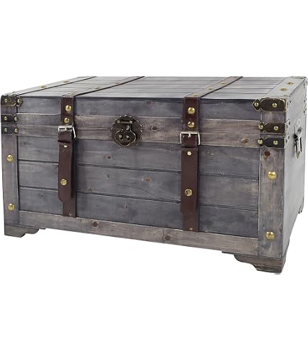 Moebel-eins Bristol Truhe Aus Massivholz Mango – Rustikale Aufbewahrungstruhe Mit Schiebetür