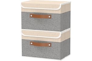 OUTBROS Caja Almacenaje con Tapa, Cubos de Tela Lavable, Juegos de Organizadoras con Tapa y Asa, Contenedores de Almacenamiento Plegable, 38 x 25 x 25 cm, 2 Unidades, Gris/Beige