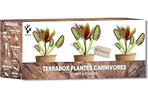 NOPALIA® Kit Plantes Carnivores – Dionée Attrape-Mouche – Kit Complet avec Graines, Pots, Tourbe & Accessoires – Cadeau Original & Insolite – DIY Jardin Intérieur – ideal cadeau noel