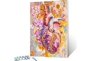 WALARKY Peinture par numéros en forme de cœur et de fleur pour adultes sur toile, organe humain, vaisseau sanguin, kit de peinture à l'huile pour débutants, kit de peinture à l'huile à faire soi-même,