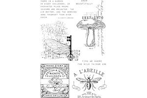 Sam Poole Creative Expressions Lot de tampons transparents Motif Snippets of Nature, 4 x 6 inches