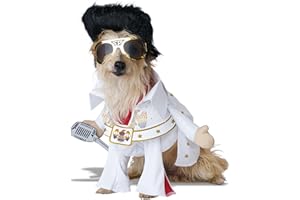 California Costumes 4224-088 Costume