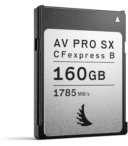 Scheda Di Memoria Delkin CFexpress Tipo B 4.0 - 512 GB, Velocit&agrave; Fino A 3650 MB/s