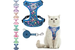 BEAUTYZOO Cat Harness and Leash Set for Walking Escape Proof, Neck Release Adjustable Harness for Kitten Puppy Small Medium Large Cats, Soft Cute Easy Control Small Cat Harness for Cats Boy and Girls