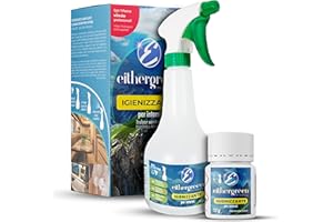 Eithergreen Kit Pulizia interni camper. Detergente, Elimina odori e Sanificante per Tutte Le superfici e tessuti di camper e roulotte - Contro Cattivi odori (Kit Completo)