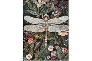 Mandun Art Peinture Numero Adulte, Libellule Coloriage Par Numero Adulte, Peinture par Pour la Décoration de la Maison 40x50cm