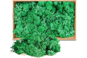 LONNEY Moos Konserviert Deko Moos zum Basteln Moosbild Modellbau Kunst Moos Natur konserviertes (603)