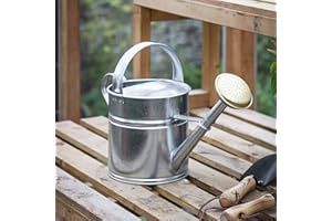 CKB LTD CKB Konewka 5 l Outdoor Metal LTD ocynkowana stal z mosiężną różą - do dużych małych ogrodów kwiatów i roślin wytrzymała antykorozyjna (5 litrów)