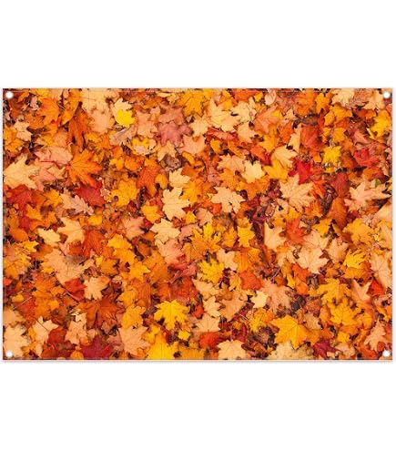 Toile De Fond Déco Automne 2.1x1.5 M - Motif Feuilles D'érable - Pour Photo, Fête Friendsgiving, Baby Shower, Décoration | En Polyester, Lavable - 3