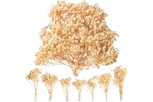 LAUMOE Lot de 50 gypsophiles séchées, naturelles, fleurs séchées pour bricoler, petites gypsophiles blanches, sélection manuelle, environ 13 cm, pour décoration de mariage DIY