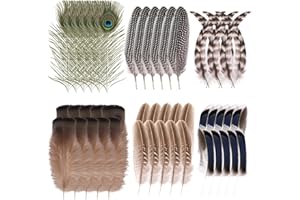 TWEOZEK 48Pcs Craft Feathers Decorations, Natural Feathers Bulk, 6 Styles Assorted Colors Peacock Feather Bulk Turkey Hat Feather Decors, Real Feathers Accessories for Jewelry Wedding Party Parade Supplies