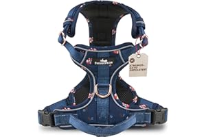 FREUDENTIER Hundegeschirr mit Griff & atmungsaktiver Polsterung - Höchster Komfort, fester Sitz & maximale Sicherheit - Anti Zug - Let's get Foxy Kollektion - Für kleine, mittelgroße & große Hunde (L)