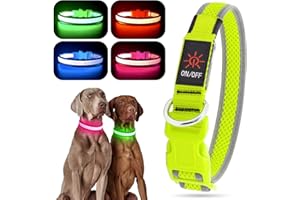 YFBRITE Collier lumineux pour chien à DEL rechargeable par USB, collier clignotant réglable, collier réfléchissant et lumineux pour chiens de petite, moyenne et grande taille (vert, taille L)