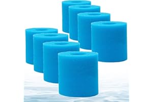 HROZNY Cartouches de Filtre pour Intex Type H, Éponge Filtrante Type H Filtre Piscine Lavable reutilisable pour piscines,Jardin extérieur.8 pièces