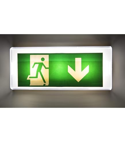 Ansell LED Luce D'emergenza Raven Via Di Fuga Bianca 3W 111lm 142x49d 865 Luce Del Giorno 110mm Ip65 Emergenza 3h Autotest 5056144211272 - Foto 9