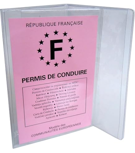 1 étui Rigide Transparent Pour Carte - 9x6 Cm - 4 Coloris Aléatoires - Protection Simple - 7