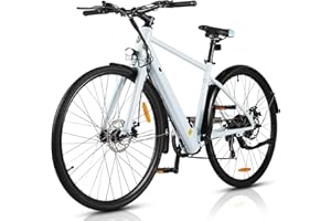 AOIHO Bici Elettrica, 28''Bicicletta Elettrica con Sensore di Coppia, Batteria da 36V 360Wh, Bici Elettrica a 6 Velocità, per Uomo e Donna, Bici Elettrica per Pendolari in Città