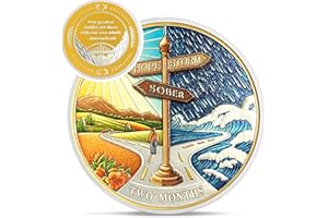 IELCJJ Hope Signpost 2 Month Sobriety Coin - Reborn from Storm AA Coins - Two Month AA Chips and Medallions - 1-10 Years NA AA Celebrate Recovery Addicts - Narcotics Alcoholics Anonymous Gifts for Men Women