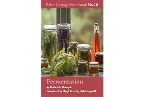 Fermentation: River Cottage Handbook No.18