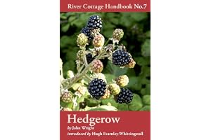Hedgerow: No. 7