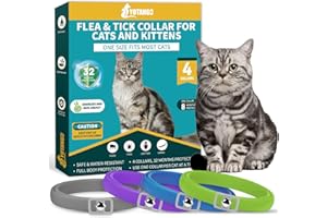 YOTANGO Collare Antiparassitario per Gatti, 4 Pezzi Collare Antipulci Gatto, Naturale Collare Antipulci e Zecche per Gatti, 32 Mesi di Protezione Antipulci per Tutti i Gatti, Grigio, Viola, Verde, Blu