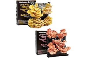 Urban Farm-It - XL Mixed Bundle Oyster Mushroom Growing Kits (Pink & Gold) | Grow Your Own Mushrooms Kit That Includes Instructions and Grow Environment, Fantastic Indoor Gardening Kit