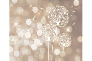 decomonkey - Papier Peint Panoramique Pissenlit 350x256 cm - Décoration murale moderne – Tapisserie décorative pour chambre salon - Lueur pissenlit fleurs nature plantes léger