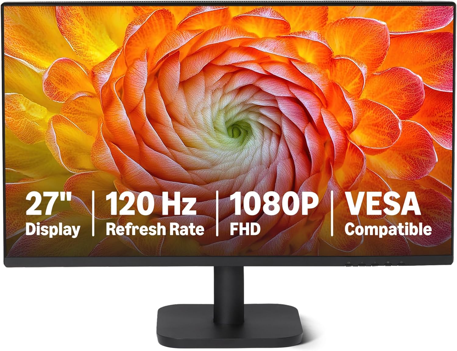 Vue 12