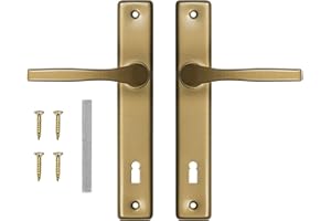 ADGO Set di maniglie per porta per la serratura della barba, 72 chiavi sinistra destra, maniglia della porta in alluminio zincato, manico per una serratura stretta su un piatto lungo dipinto (oro)