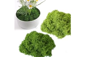 OMJMYY Mousse Artificielle Décorative 100 g D'Islande Végétale Naturelle pour Maison, Jardin, Plantes en Pot (Vert Foncé, Vert Clair)