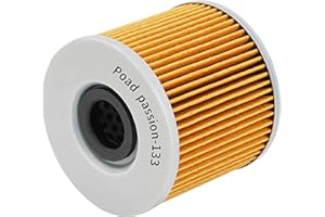 Road Passion Filtre à Huile pour GS500H 2007-2009/GS500F 2004-2010/GS500E 1988-2000