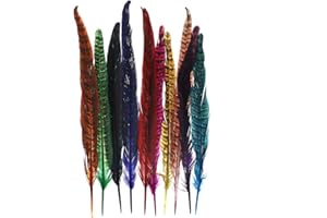 ENET Nature - Plumas de faisán (25 a 30 cm), diseño de cola para decoración, multicolor