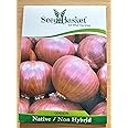 Seed Basket Native/Non-GMO Onion Seeds for Home Garden (400 Seeds with More than 70% Germination) And Instruction Manual