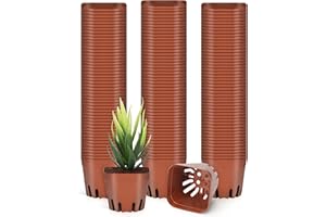 ‎BELLE VOUS BELLE VOUS (150er-Pack Braunes Quadratisches Blumentopf Kunststoff Set - 5 x 5,5 x 6,5 cm - Langlebige Anzuchttöpfe Eckig für Sukkulenten, Gemüse, Gärten, Innenräume & Samenanzucht